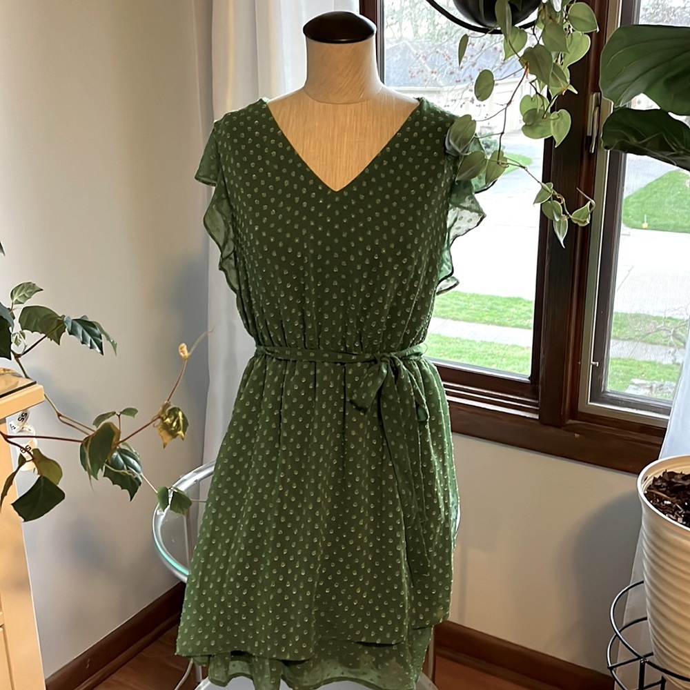 Francesca’s green dress